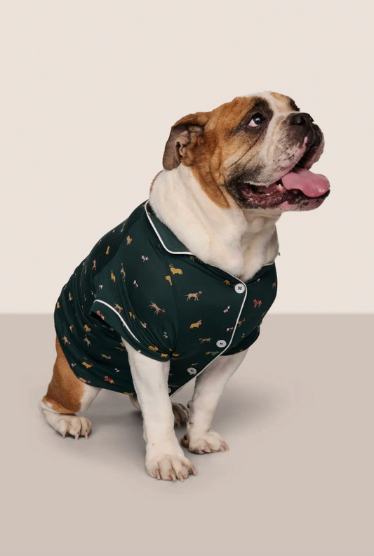 Pet Festive TENCEL™ Modal Sleep Set