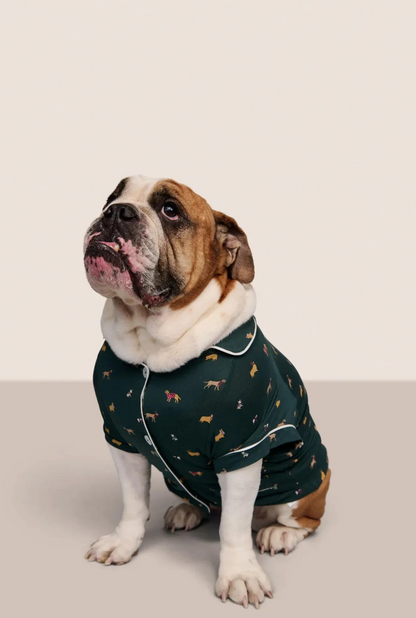 Pet Festive TENCEL™ Modal Sleep Set